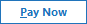 paynow.png